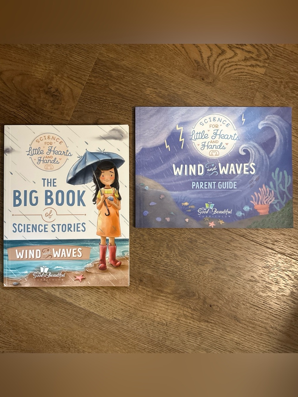 The Good And The Beautiful: The Big Book Of Science Stories Wind And Waves